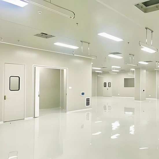 FL Cleanroom Solutions - Turnkey Project System with Non-Standard Specs, Suzhou